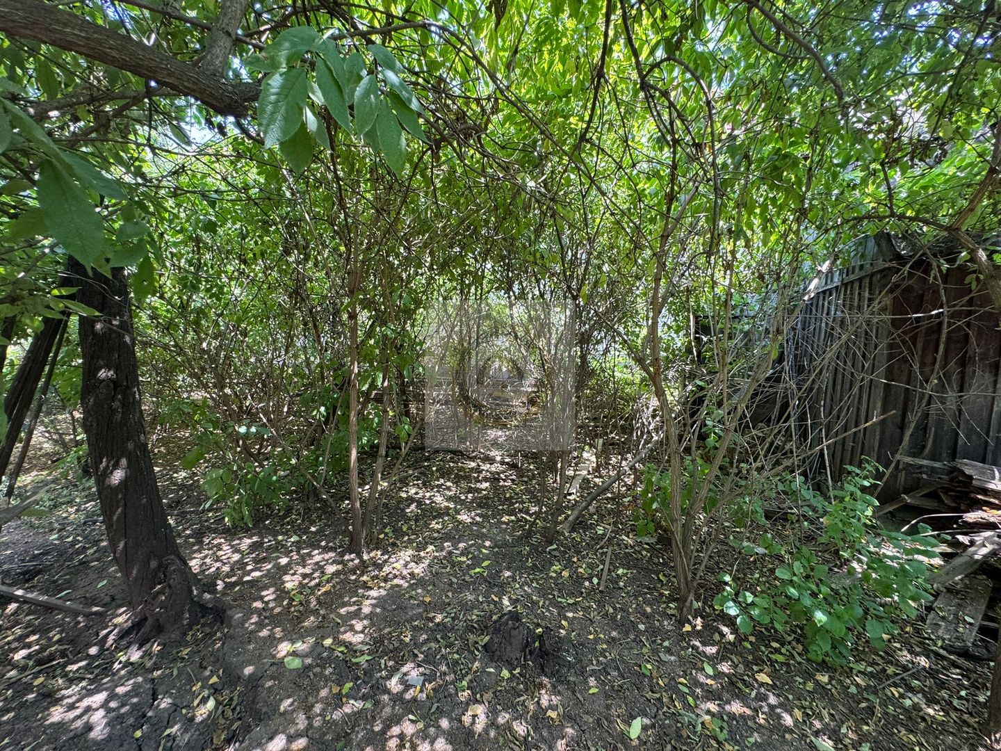 Teren și casă de vânzare în Miercurea Ciuc, zona L1u (strada Leliceni) - Poză 79