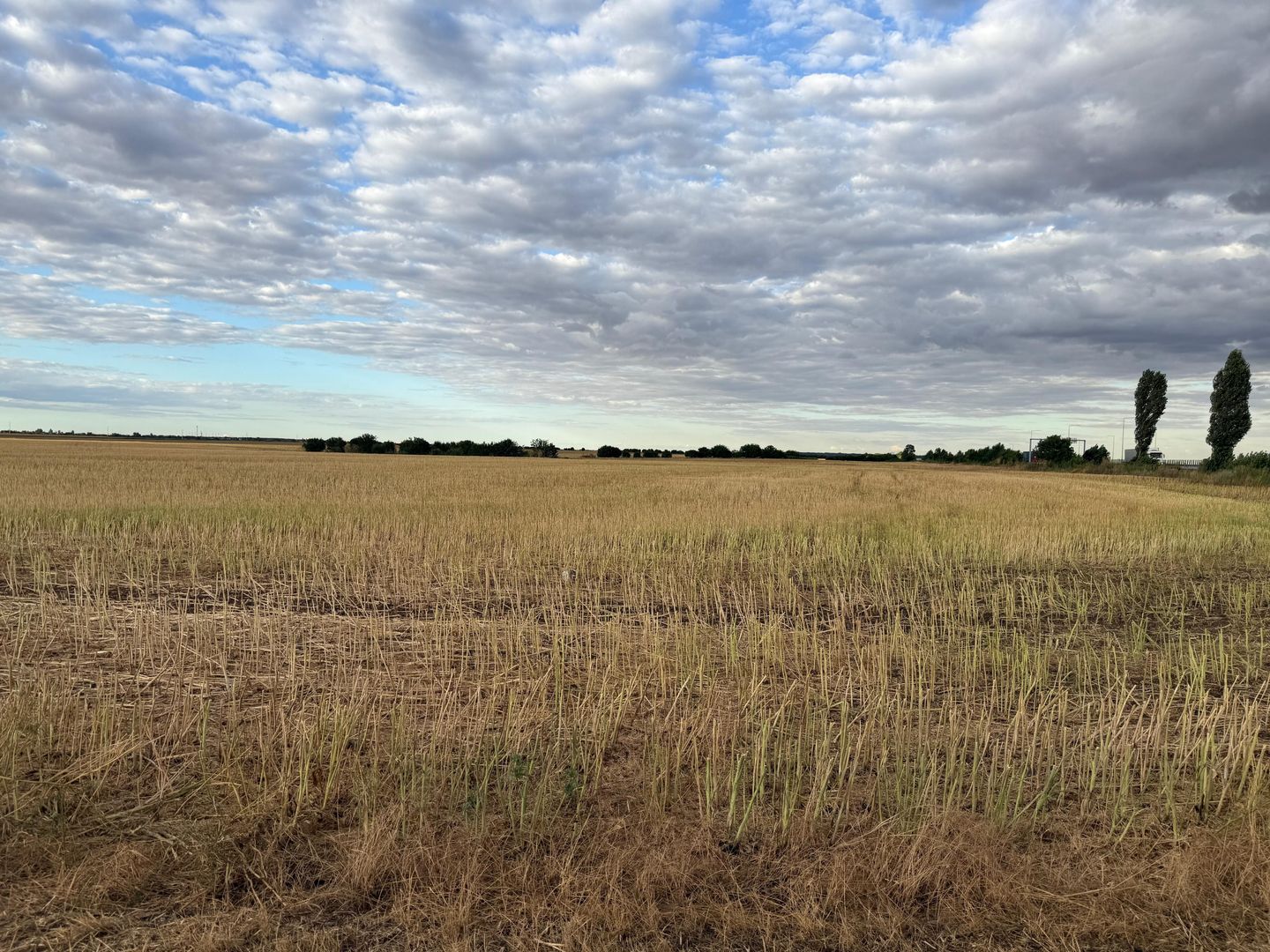 Teren intravilan Branesti - Poză 2