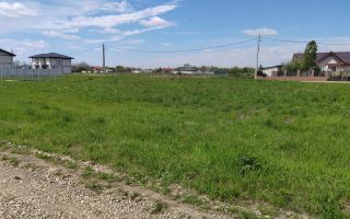 🌿 Teren de vânzare – Răcari, Str. Mestecenilor - Intrarea cu Tei - Poză 6