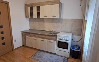 Apartament 2 camere- Craiovita Noua, Piata Big - Poză 5