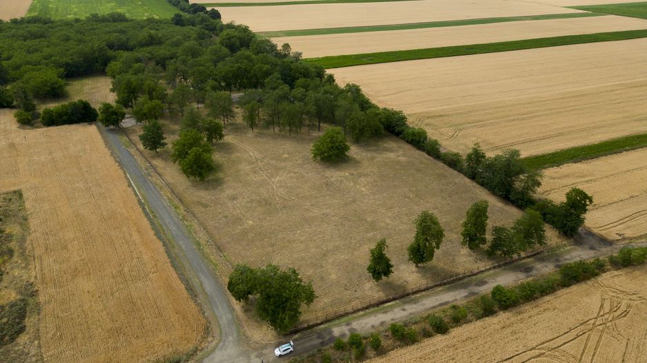 Teren intravilan Şofronea - Poză 2