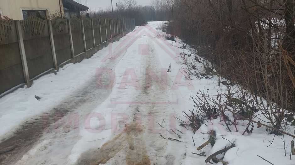 TEREN INTRAVILAN - STRADA AEROPORTULUI\ CARANSEBEȘ\JUD.CARAȘ-SEVERIN - Poză 6