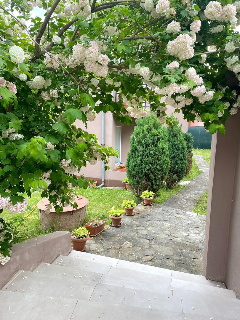 VILA DE LUX ESELNITA CLISURA DUNARII - Poză 4