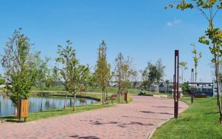 Teren intravilan Titan Parcul Teilor - Poză 14