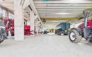 Complex industrial cu hale și teren  în Orțișoara - Poză 3