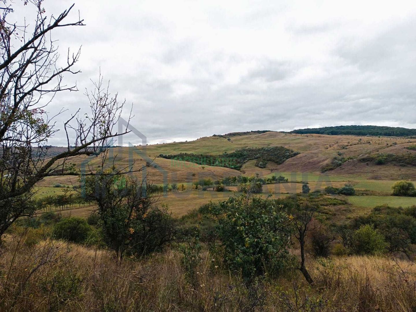 Teren 3,3 ha pentru viață la natură – livadă, liniște, Strunga Iași - Poză 4