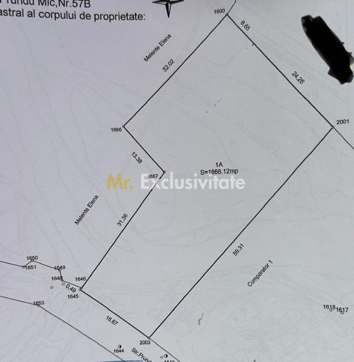 Teren intravilan Prundu - oportunitate excelentă de investiție! - Poză 2