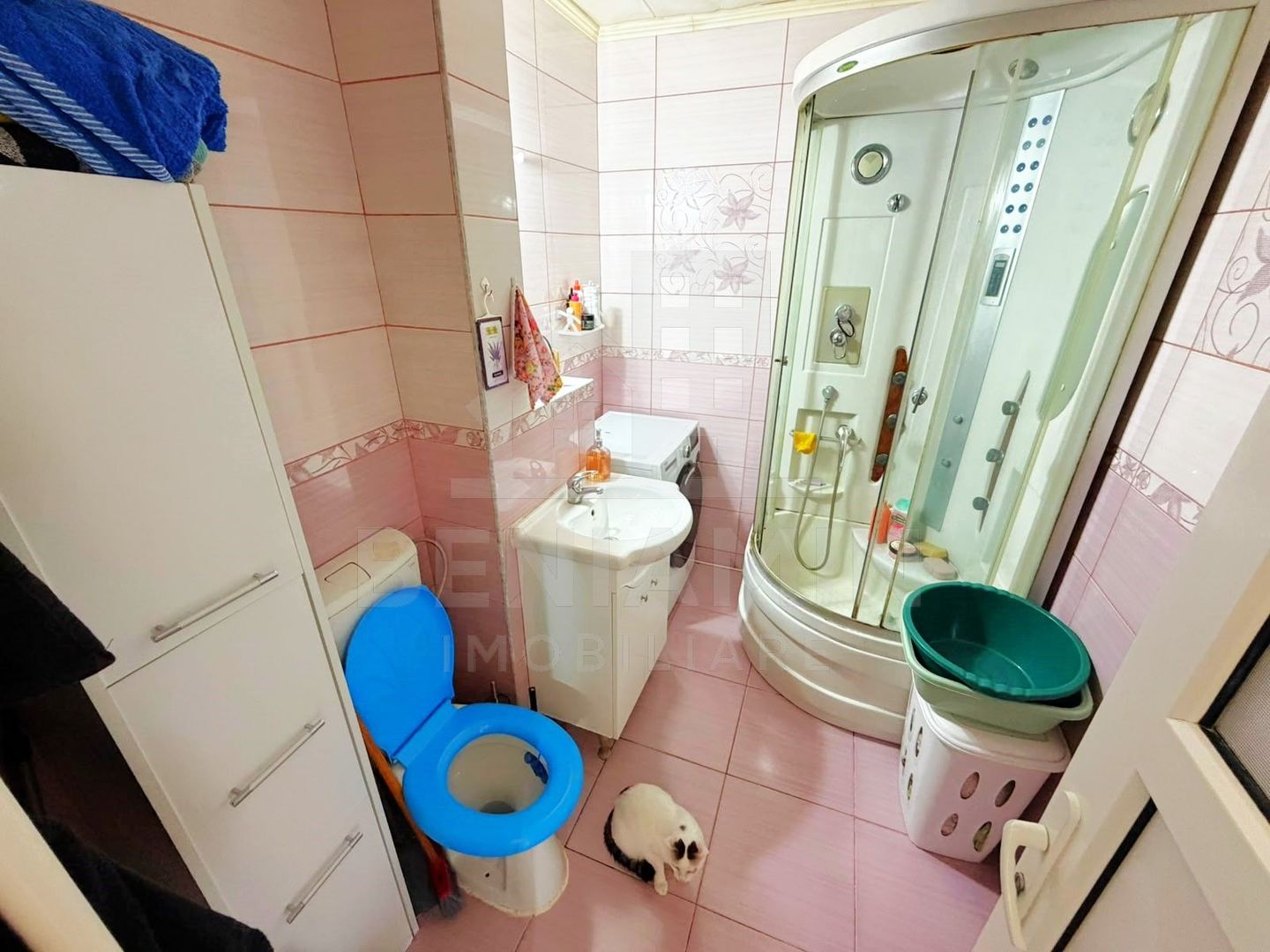2 Decomandate-Lapus Arges-Mobilat-Utilat-Ac-54mp-Orientare N-V-Liber - Poză 8