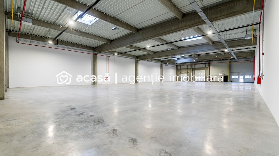4646 mp - Hala industriala de inchiriat in Parc Industrial Arad - Poză 10