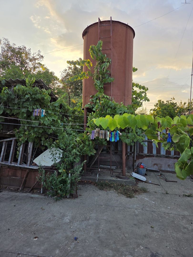 Casă și teren 2177 mp Ortisoara -28ml front-comision 0 - Poză 11