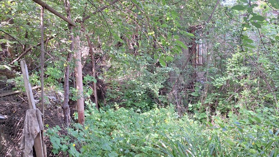 Casă cu 3 camere și teren generos, în Andrei Mureșanu - Poză 3