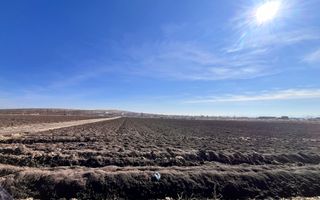 Vanzare I Teren I Suceava/Stroiesti I 100 ARI 2999 Euro/Ar - Poză 1