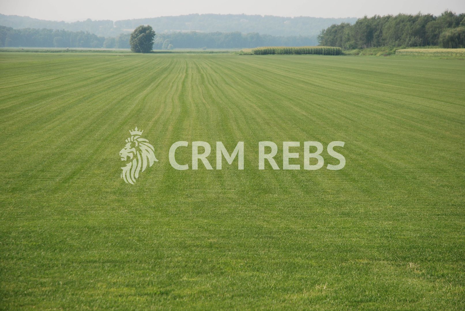 Teren intravilan în zona Baneasa - Poză 3