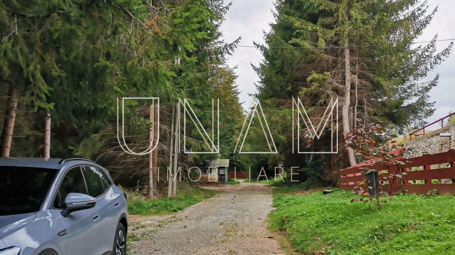 **VANDUT** Casă, Gărâna, munții Semenic, la doi pași de Scenă - Poză 5