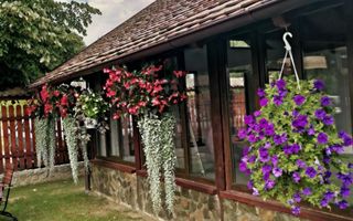 CASĂ\VILĂ DE VÂNZARE \COM. OBREJA\SAT IAZ\CARAȘ-SEVERIN - Poză 4