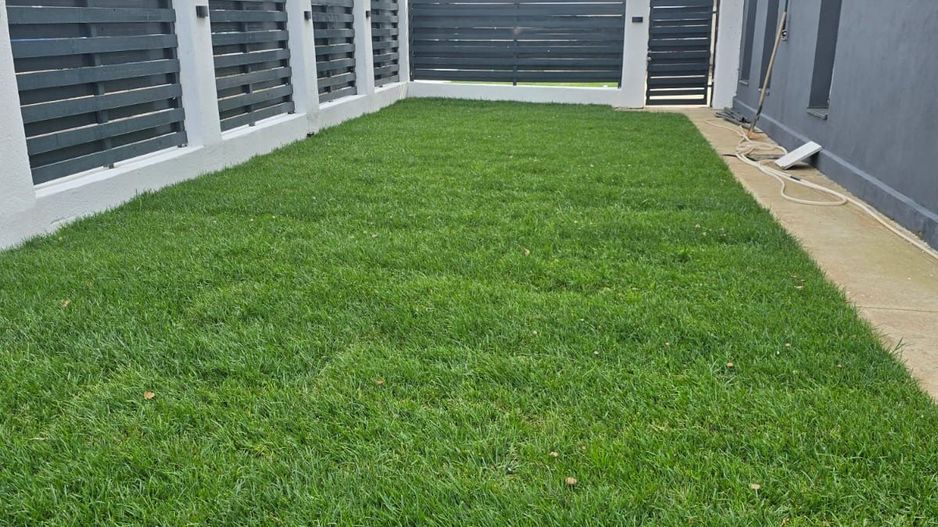 Vilă elegantă în Popești Leordeni I 5 camere - Poză 23