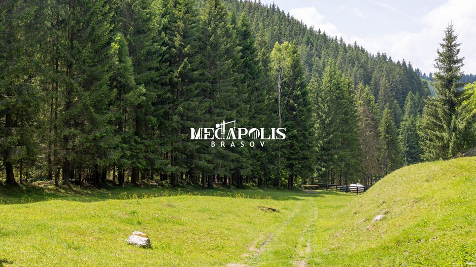 Pretabil Hotel,Pensiune,Case de Vacanta/Utilitati/PUZ - Poză 18