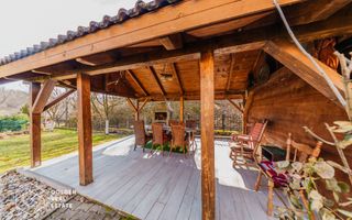 Proprietate pretabila pentru afacere, Cladova - Poză 33