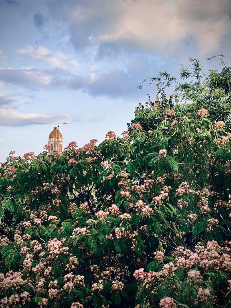 Apartament 3 camere + 1 birou,  Cotroceni, curte si gradina, metrou Eroilor - Poză 25