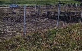 Teren 350 mp I Sura Mare I Certificat de Urbanism I Utilități - Poză 4