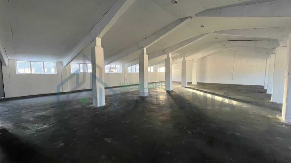 Hale / Depozite / Spații Producție de Închiriat în Tomesști, Iași - Poză 2