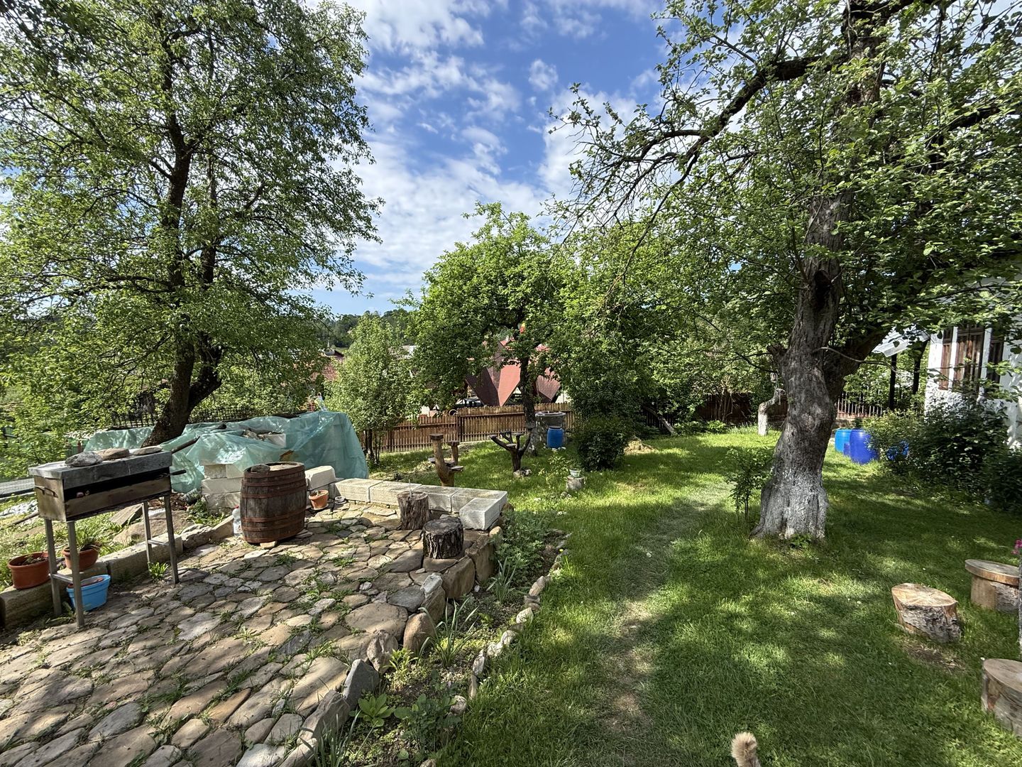 2 Case + teren 1390 mp langa parcul central Provita de Sus - Poză 28