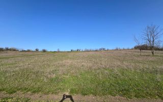Teren pentru grădină / investiție – 14,86 ari în Ghidighici, zonă liniștită și ecologică - Poză 6