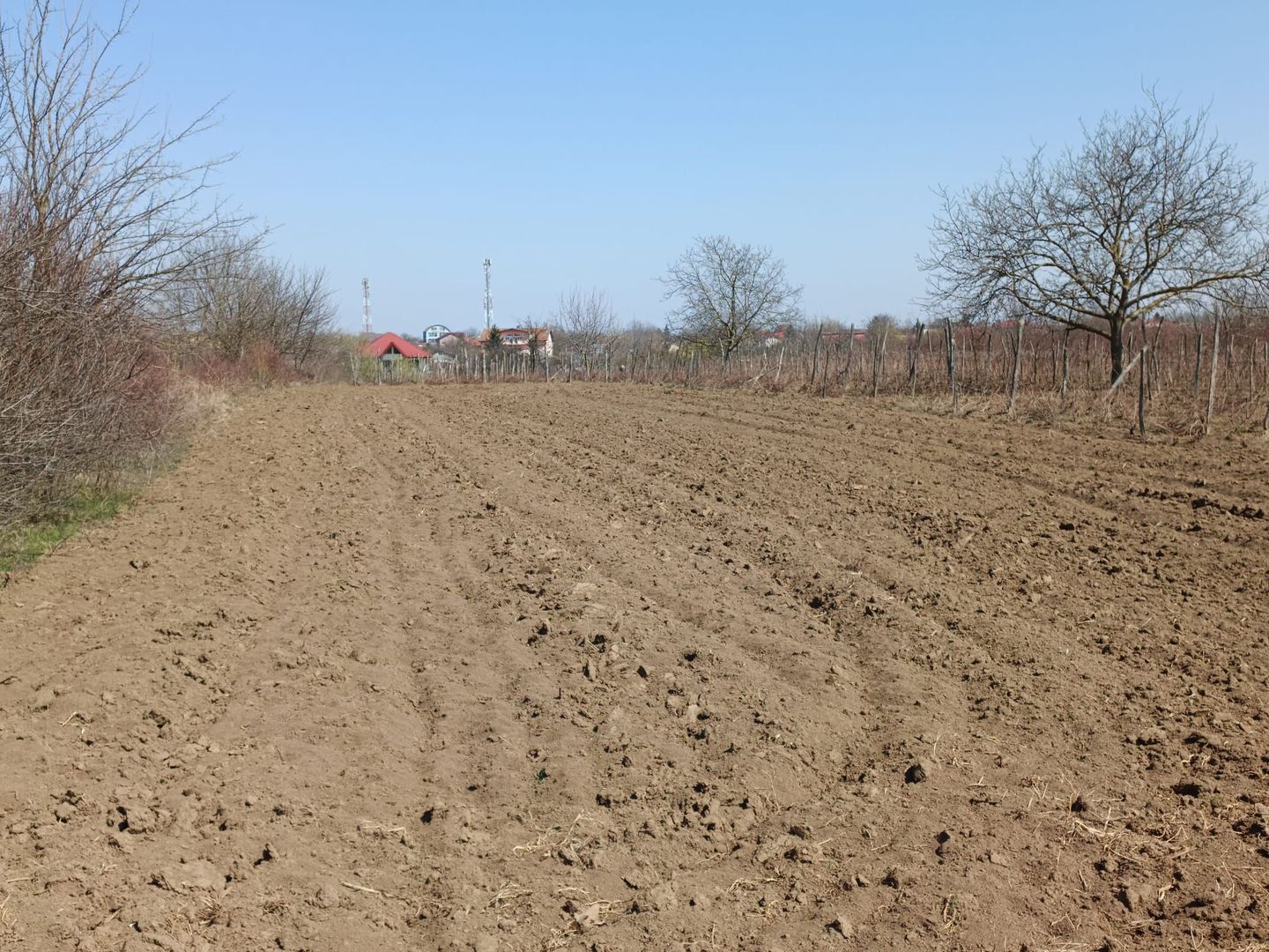 Teren extravilan 2400 mp in Afumati - Poză 1