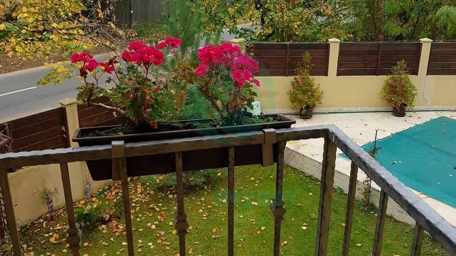 Silistea Snagovului-Casa de VACANTA  cu piscina - Poză 17