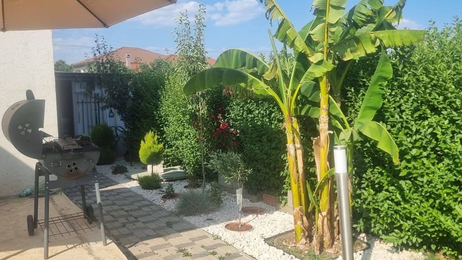 Comision 0% Duplex – Dumbrăvița 94 mp utili | teren 300 mp | - Poză 5