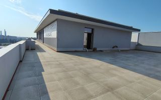 Penthouse spectacular I 291 mp util si 450 terasa - Poză 14