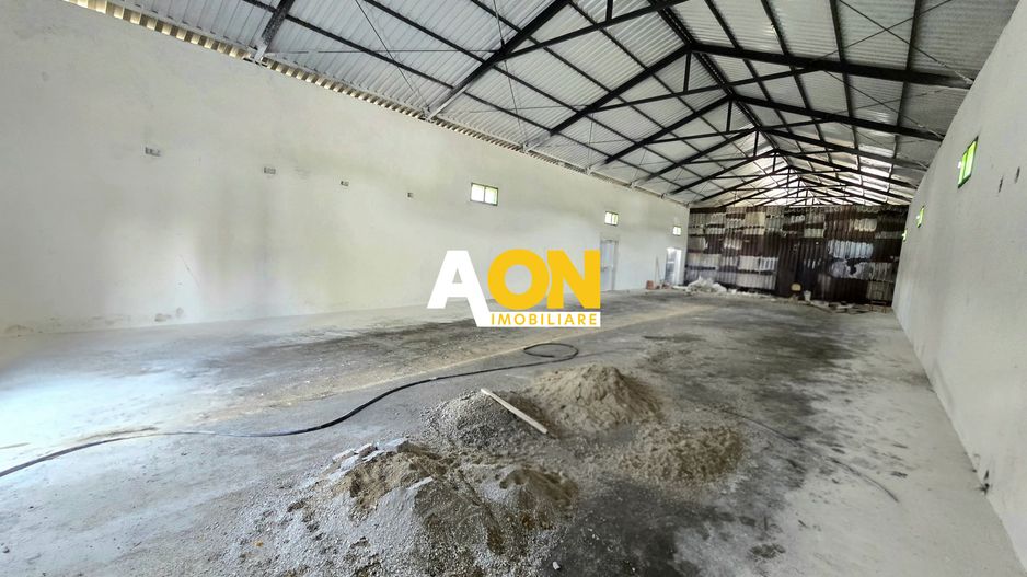Spațiu Industrial de Închiriat, 280mp, Zona Carolina Mall - Poză 2