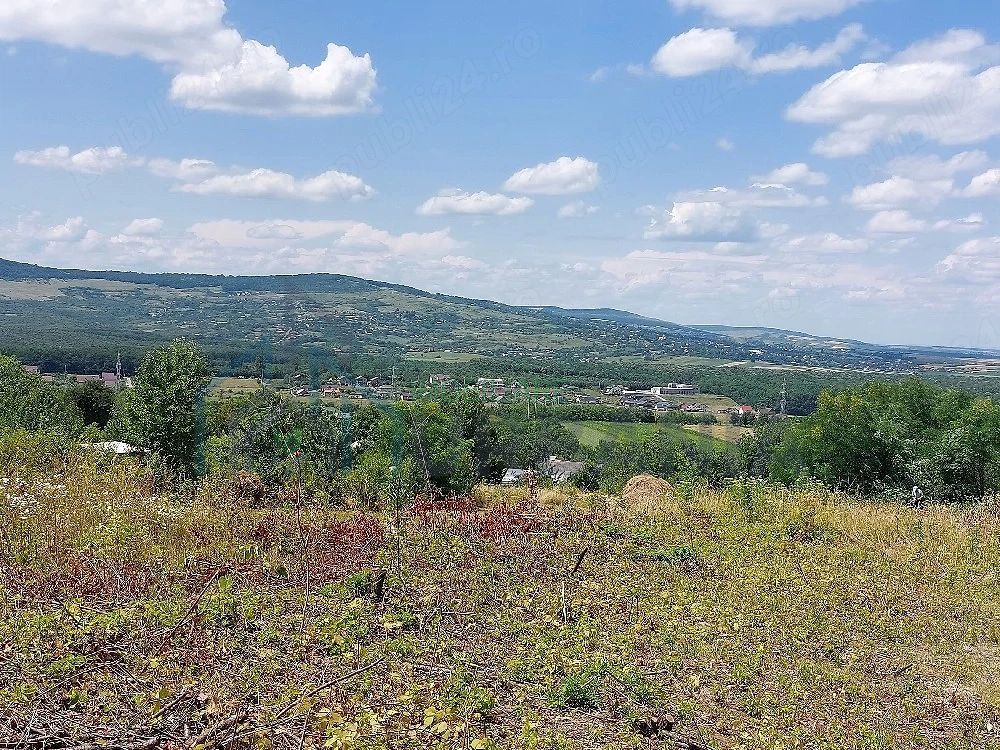 Teren intravilan, Curaturi, comuna Ciurea, 6310 mp - Poză 1