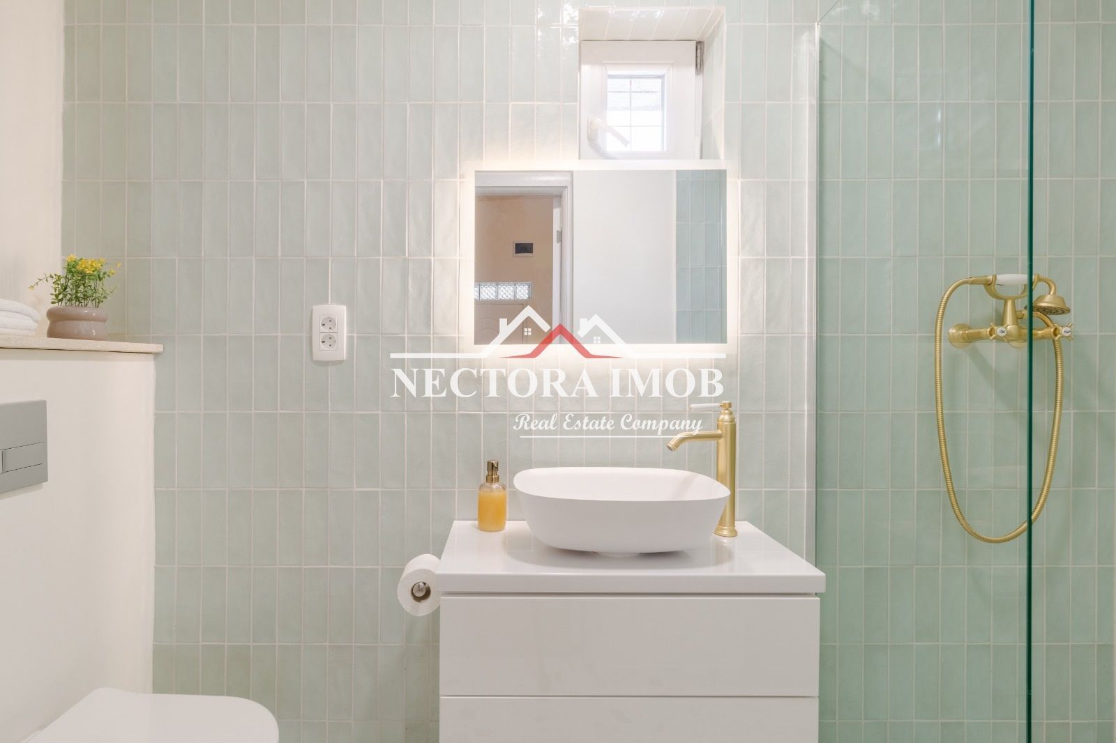 NECTORA IMOB-Casa deosebita Ultracentrala, Malul Crisului/Piata Unirii - Poză 16