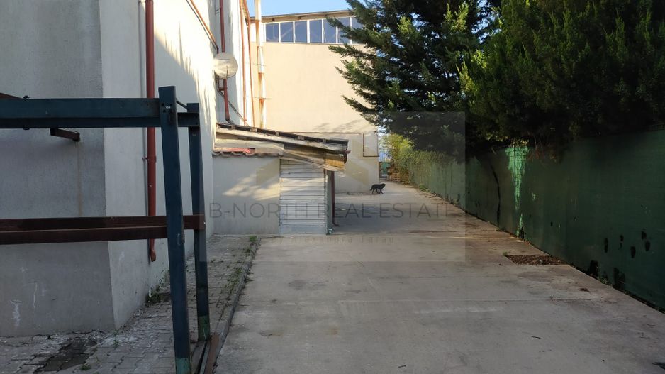 Dpozit- Service auto- Spatiu IndustrialOtopeni - Poză 3