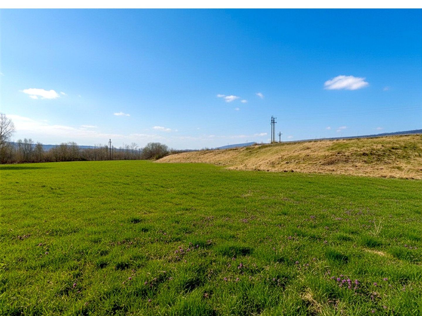 Teren 12.400 MP | 180 ml deschidere E85 | Pătrăuți | 70.000€ - Poză 4