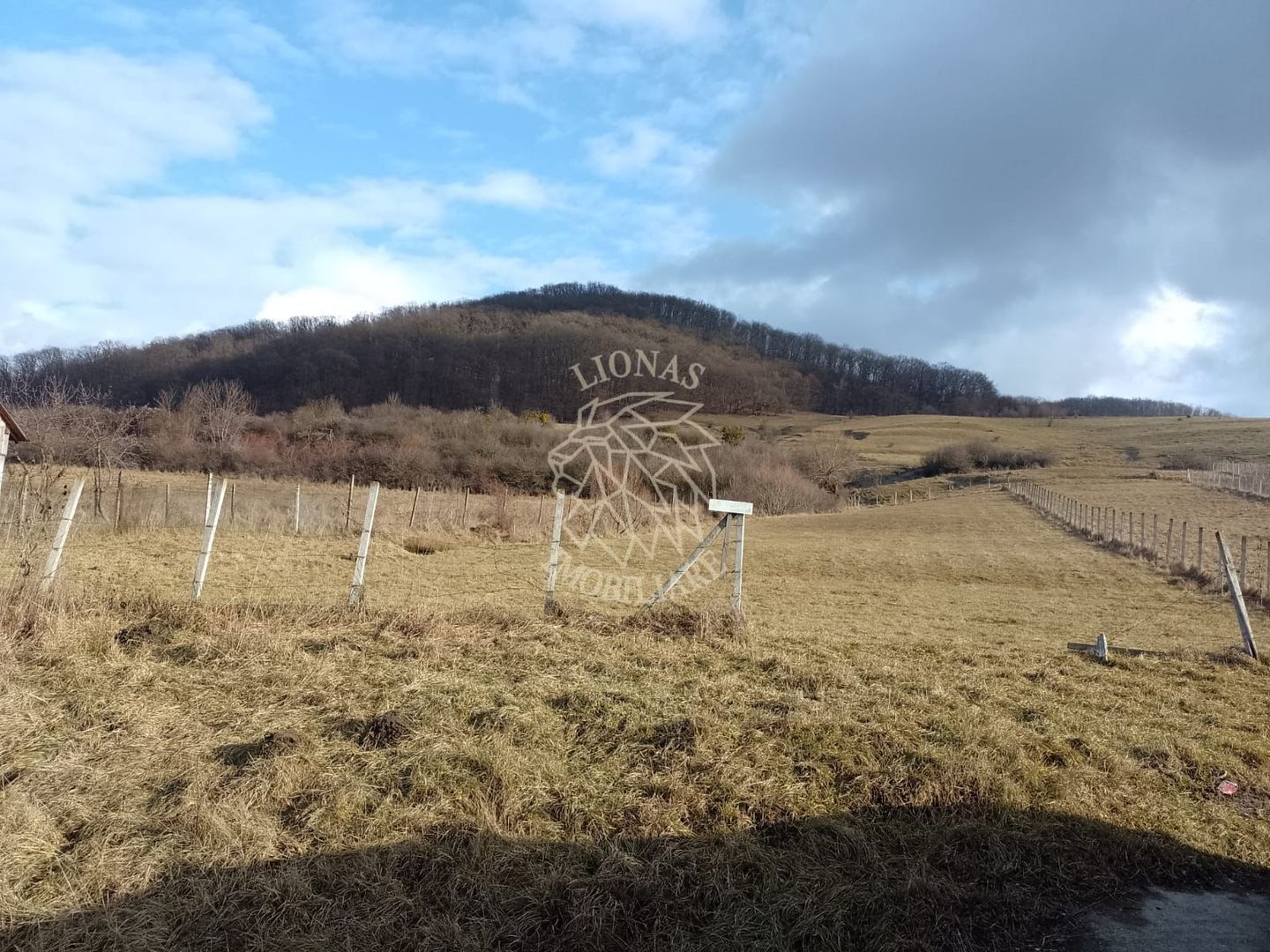 Teren la drum 2000 mp-pretabil investitie-Saratel - Poză 1