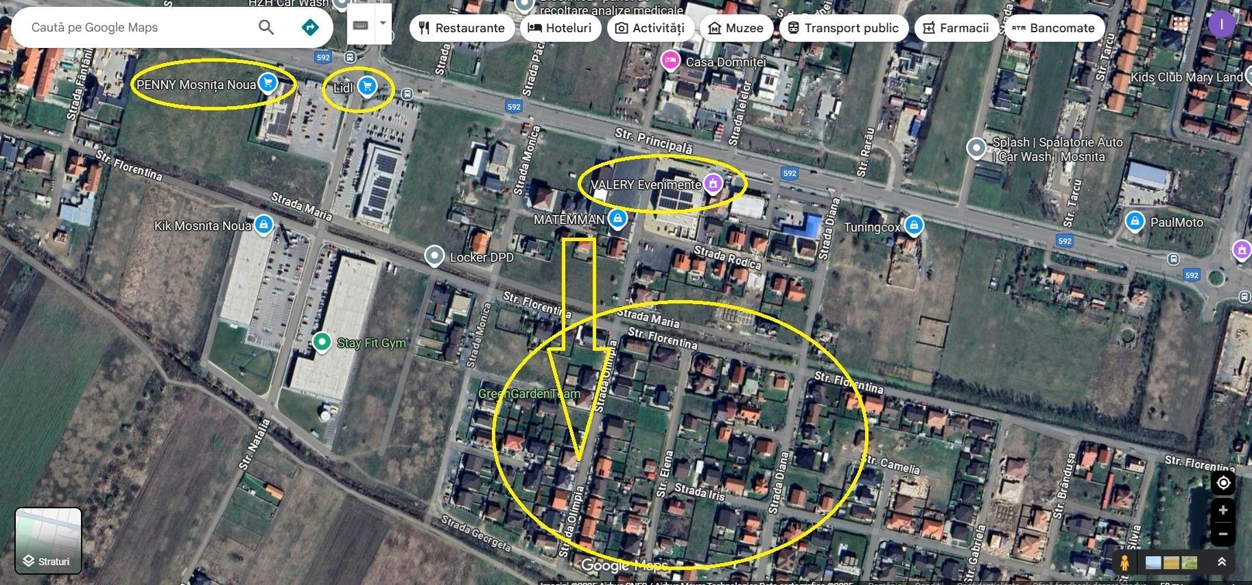 Mosnita-Vallery | 609 mp | F.S. 19 m | Toate utilitatile - Poză 3