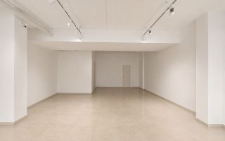 Chirie, spațiu comercial 102 mp,  str. Ioana Radu, Buicani - Poză 4