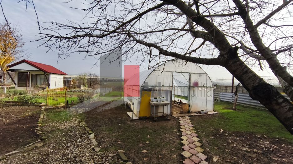 Casa curte cu teren 1600 mp Manolache - Poză 20