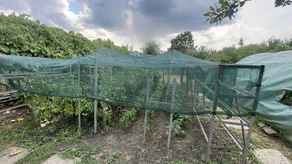 Casa | 9 camere | Garaj | Piscina | Teren 3.000 mp | Comision 0% - Poză 40