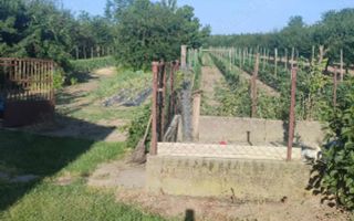 Casa de vanzare in Ungaria aproape de granita - Poză 5