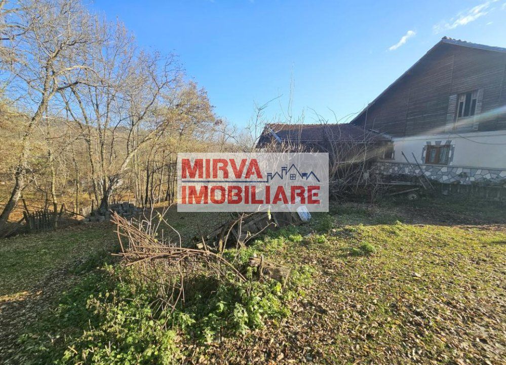 Vanzare casa plus anexa, teren 3843 mp, in Sat Pietriceaua - Poză 8