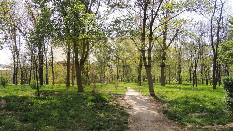 Apartament 3 camere premium Tatarasi Parcul Ciurchi - Poză 18