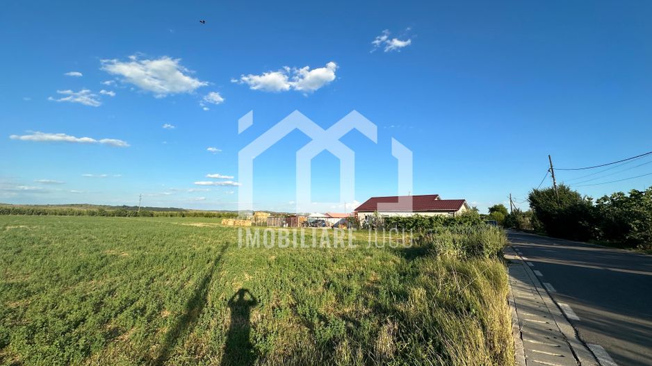 Teren INT construcție duplex / case cuplate 1503 mp - Jucu de Sus - Poză 4