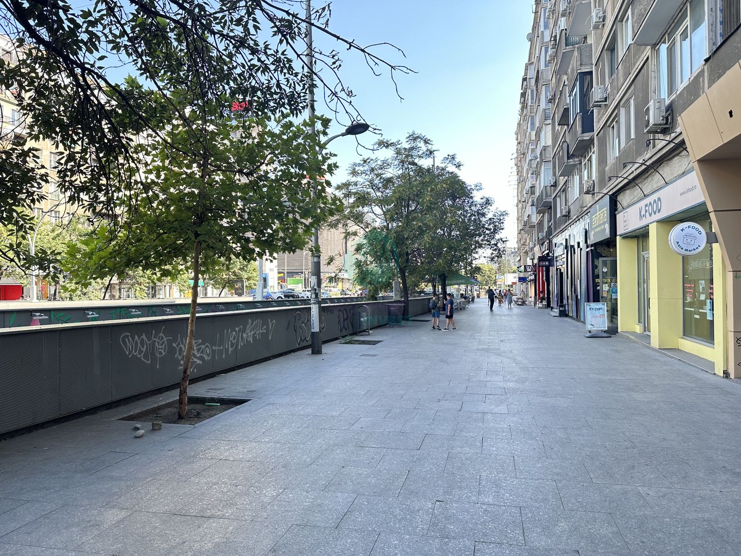 Apartament renovat - IDEAL AIRBNB sau INVESTITIE - Poză 3