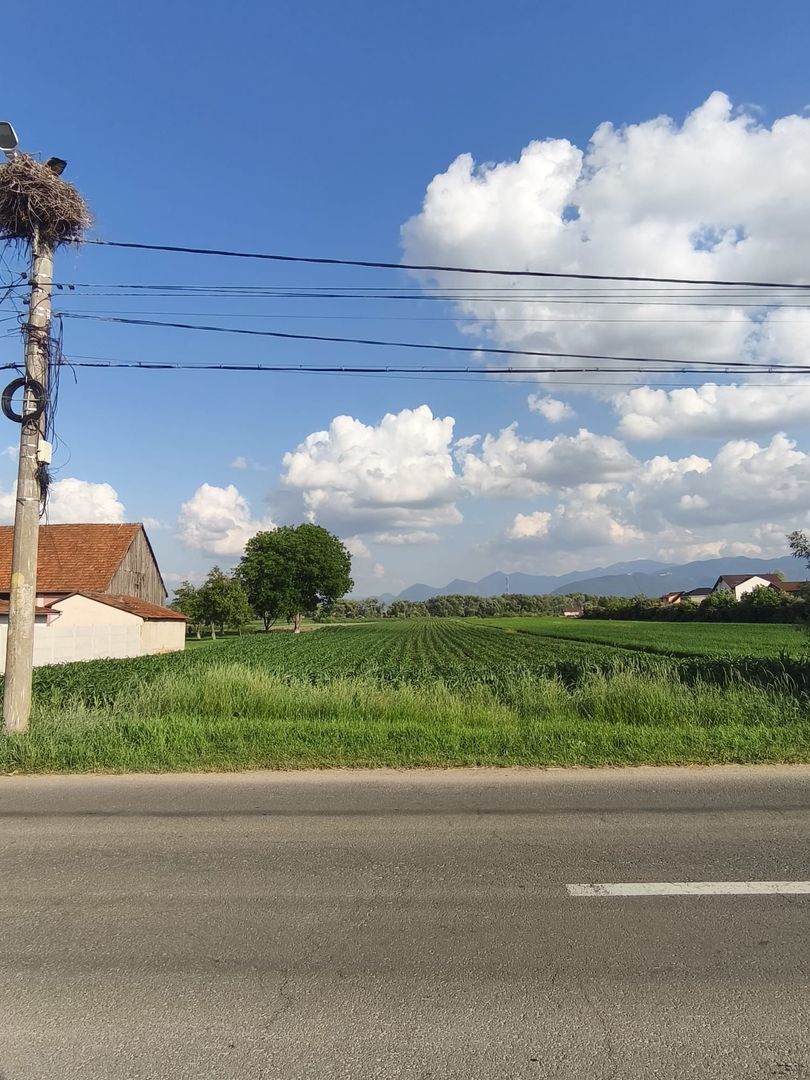 teren intravilan 700mp str. Fagurului, Stupini - Poză 1