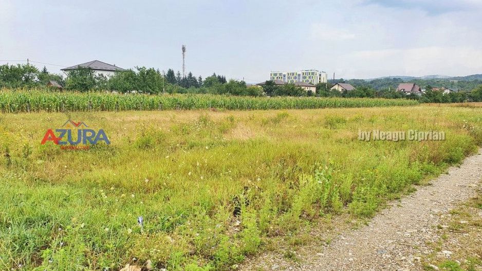 Vanzare Teren Racovita Intravilan - Poză 10