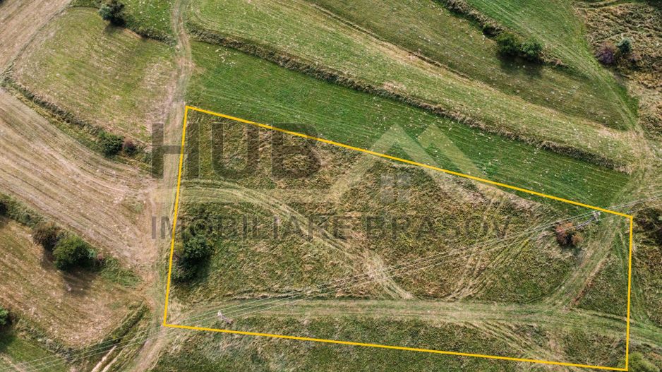 Teren de Vanzare Zarnesti | Utilitati | 3.698mp - Poză 4