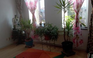 De vanzare Apartament 3 camere + pod in Vila, Vasile Lascar - Eminescu - Poză 9